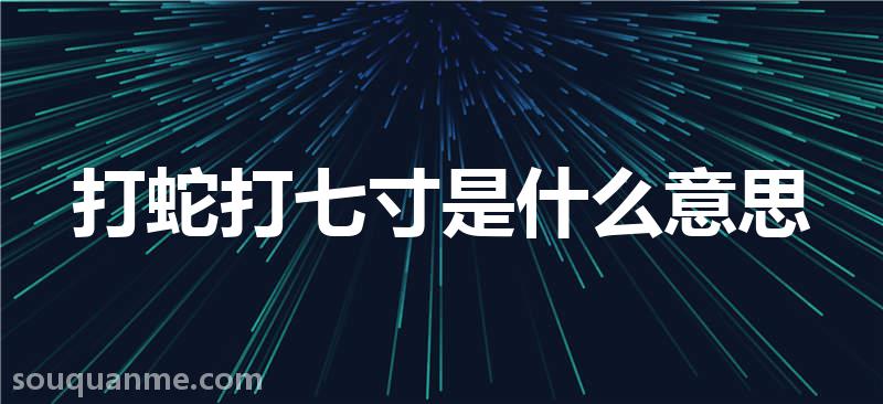 打蛇打七寸是什么意思 打蛇打七寸的拼音 打蛇打七寸的成语解释